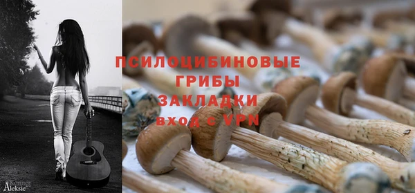 гидропоника Армянск