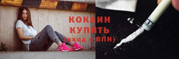 стафф Аркадак