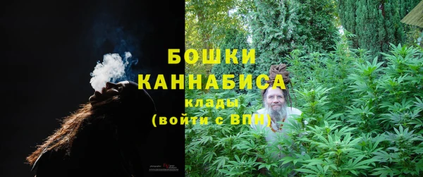 стафф Аркадак