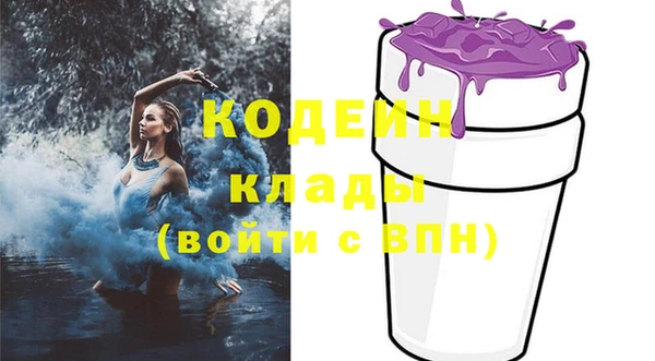 амф Арсеньев