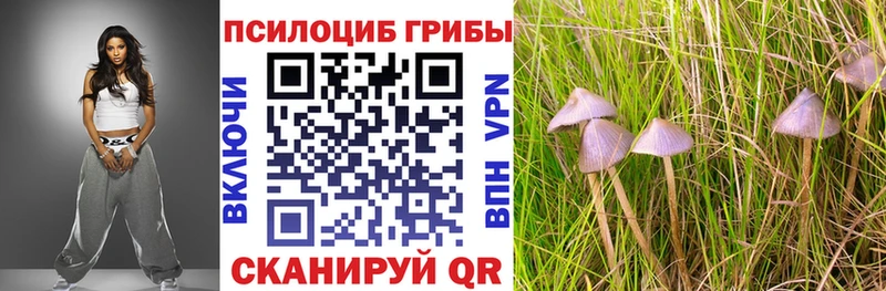 Галлюциногенные грибы Magic Shrooms как найти наркотики Стародуб